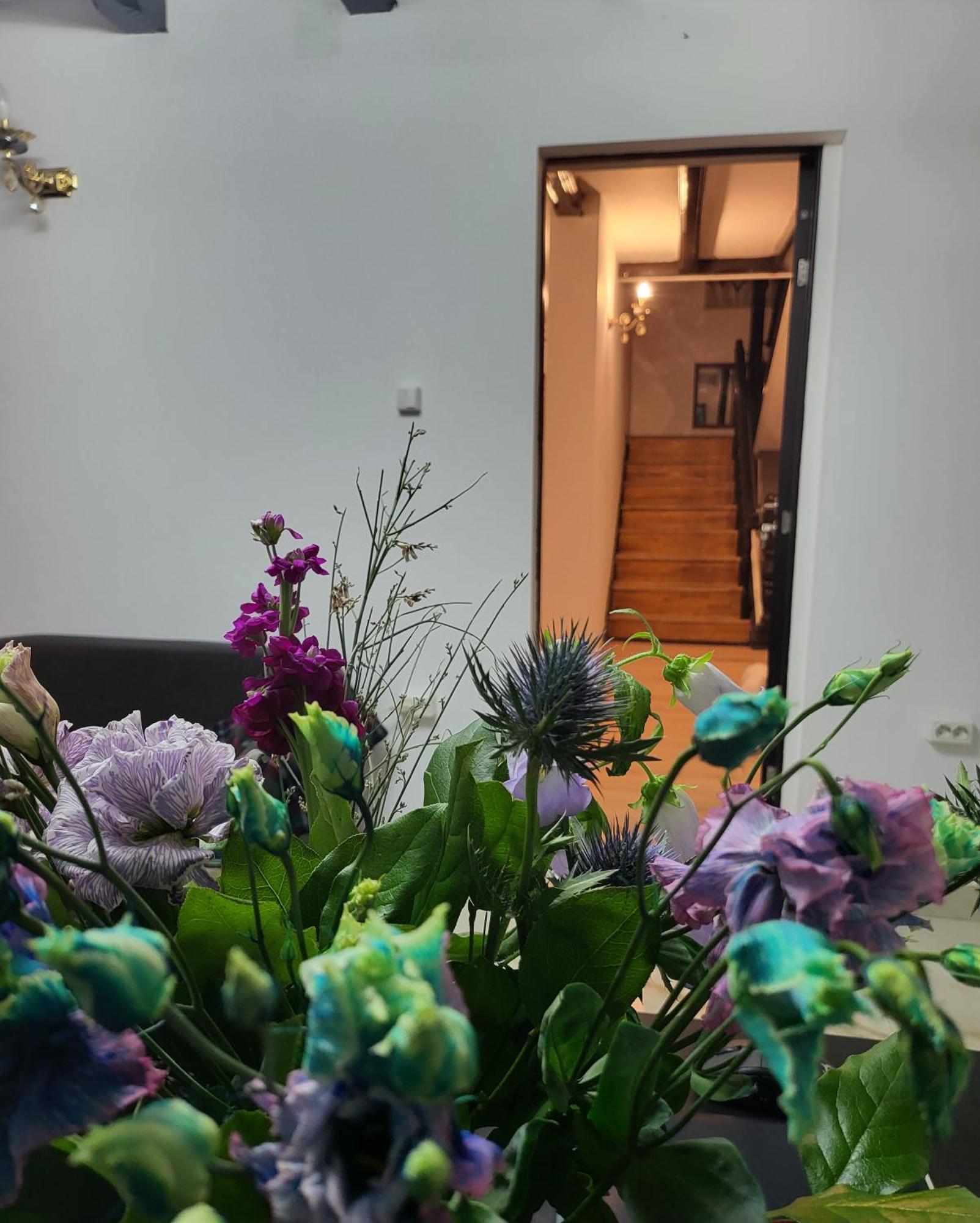 Adac Boutique Hotel Pantelimon Ngoại thất bức ảnh