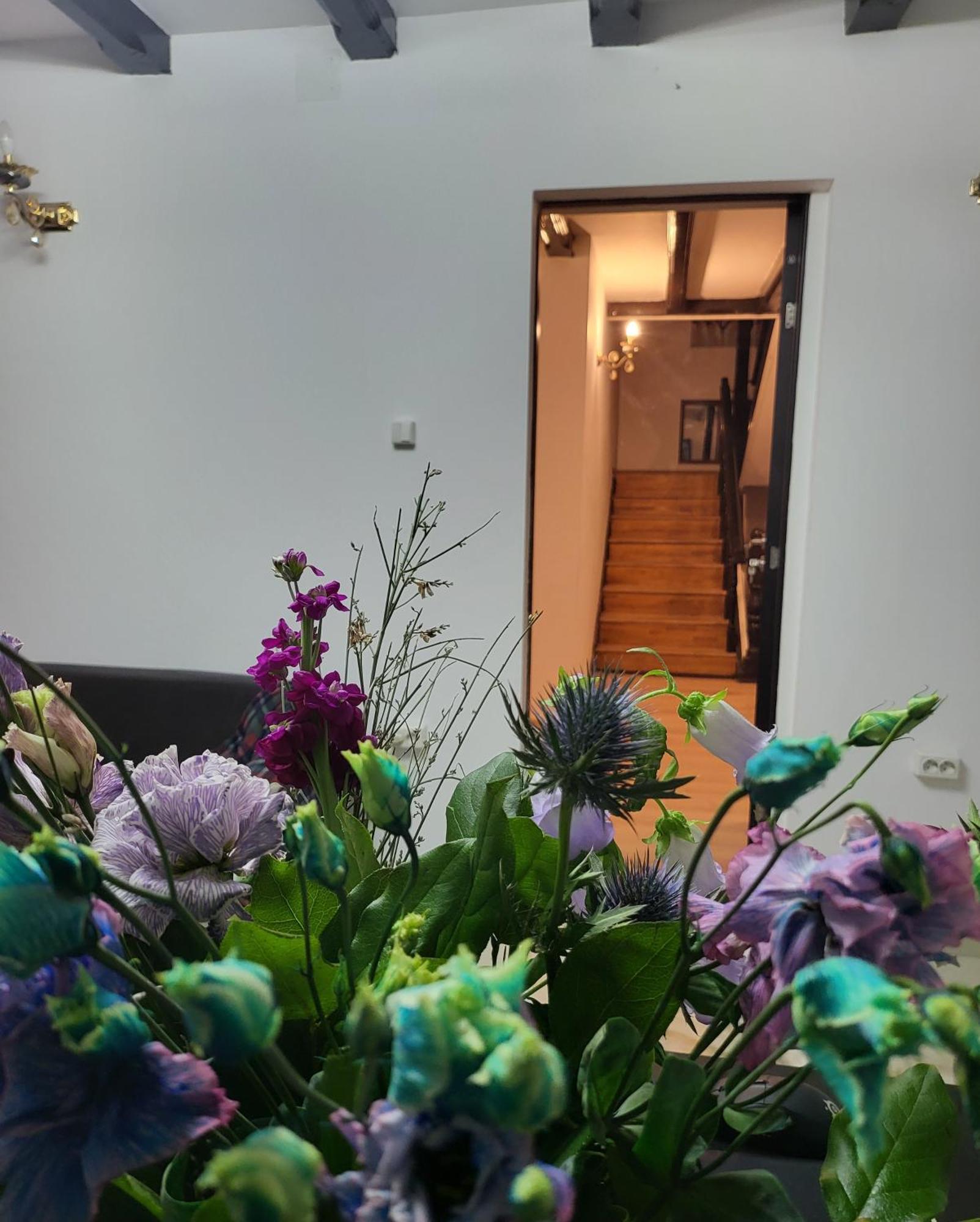 Adac Boutique Hotel Pantelimon Ngoại thất bức ảnh